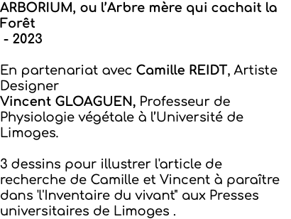 ARBORIUM, ou l’Arbre mère qui cachait la Forêt - 2023 En partenariat avec Camille REIDT, Artiste Designer Vincent GLOAGUEN, Professeur de Physiologie végétale à l’Université de Limoges. 3 dessins pour illustrer l'article de recherche de Camille et Vincent à paraître dans 'l'Inventaire du vivant" aux Presses universitaires de Limoges .